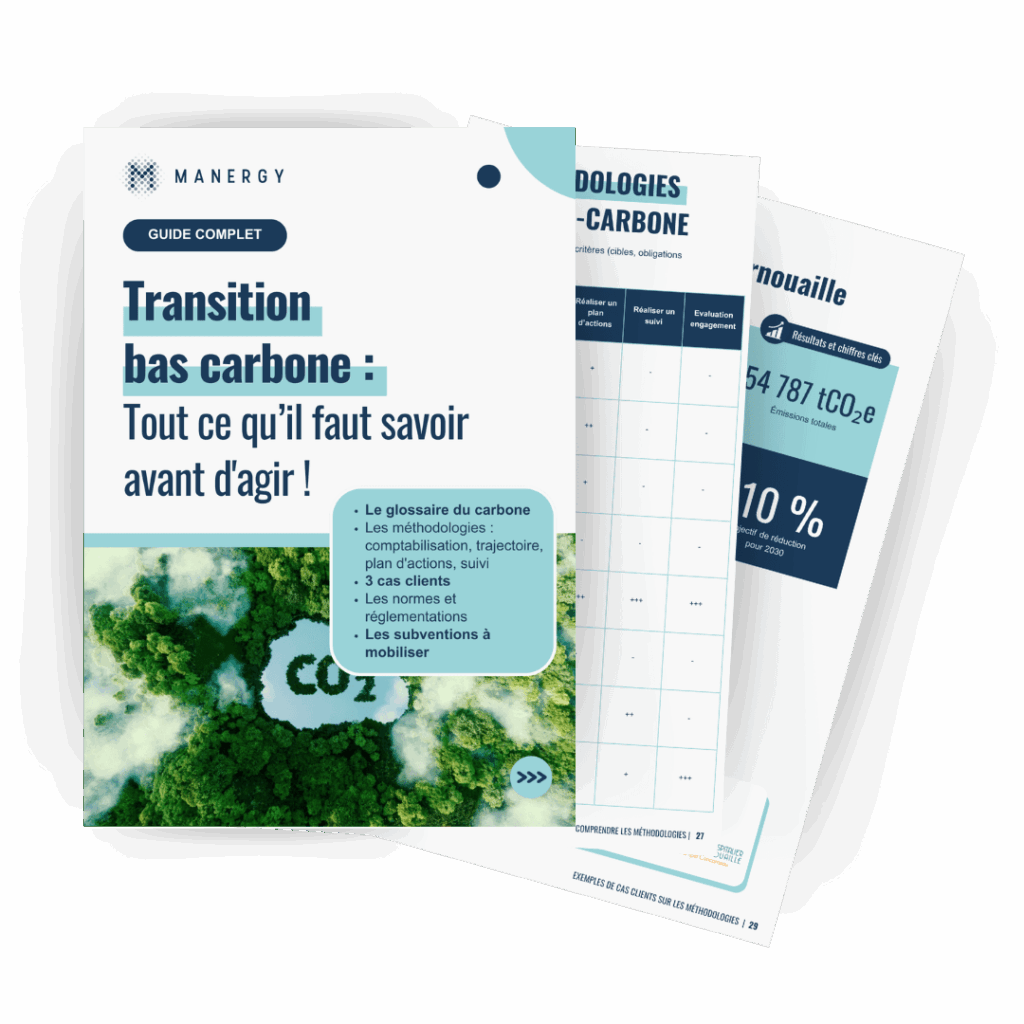 LP-guide-carbone